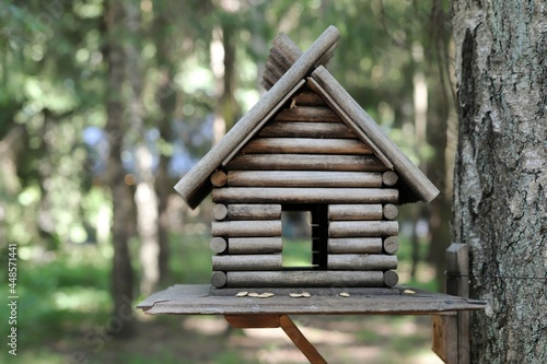 squirrel feeder with pumpkin seeds in the park in the form of a tree house