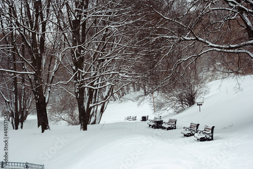 snow covered trees in winter
