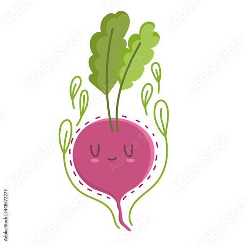 cute radish is vegetable