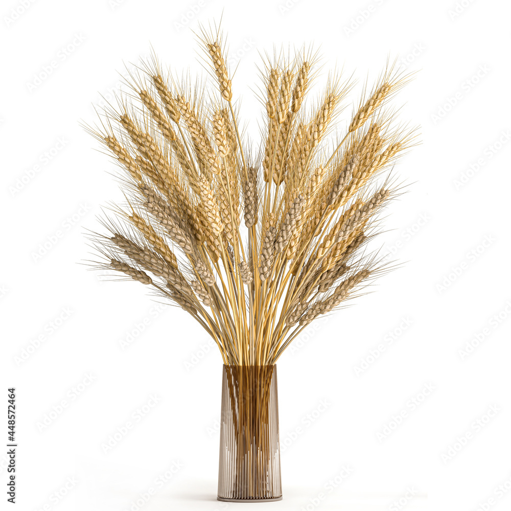 decorative bouquet of dry wheat in a glass vase on a white background decorative bouquet of dry wheat in a glass vase on a white background