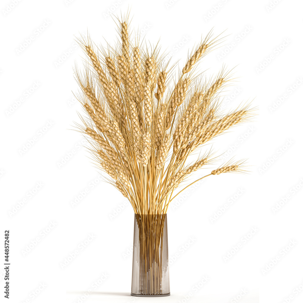 Fototapeta premium decorative bouquet of dry wheat in a glass vase on a white background