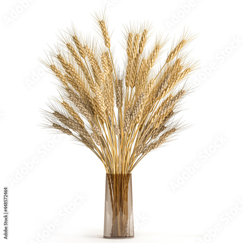 decorative bouquet of dry wheat in a glass vase  on a white background