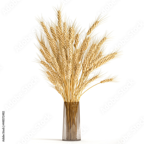 decorative bouquet of dry wheat in a glass vase  on a white background