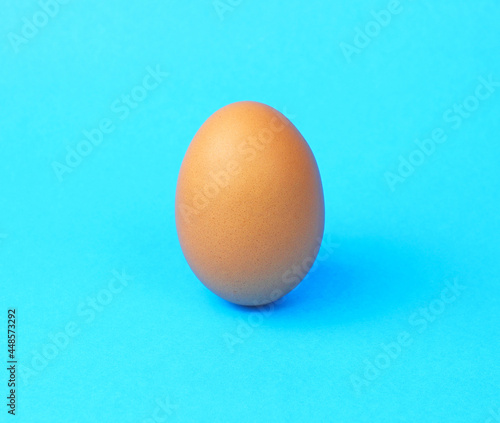 one fresh egg on blue