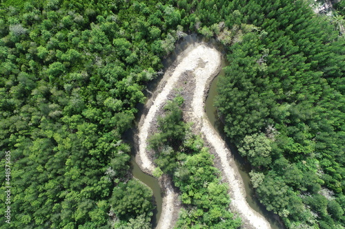 Vertical aerial view drone forest photo