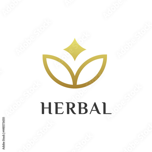 Herbal logo design with a luxurious and simple concept, Herb Herbalism logo design. 