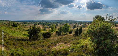 Panoramablick vom Wilseder Berg Lüneburger Heide