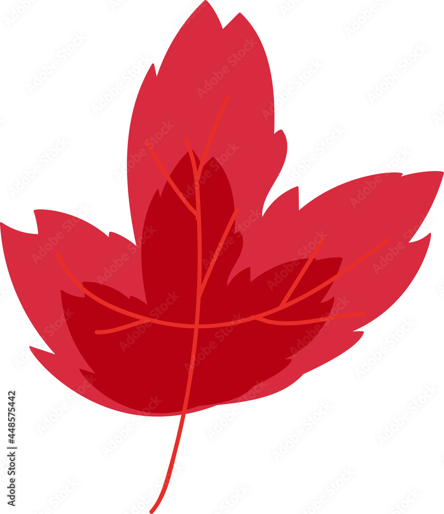 Fototapeta premium Tree dried red leaf environment nature vector