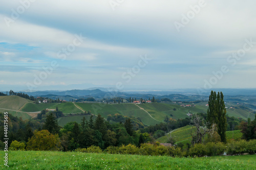 A lush wine region is South Styria, Austria. The wine plantations are stretching over a vast territory, over the many hills. There grapes are already ripening. Wine region. A bit of overcast.