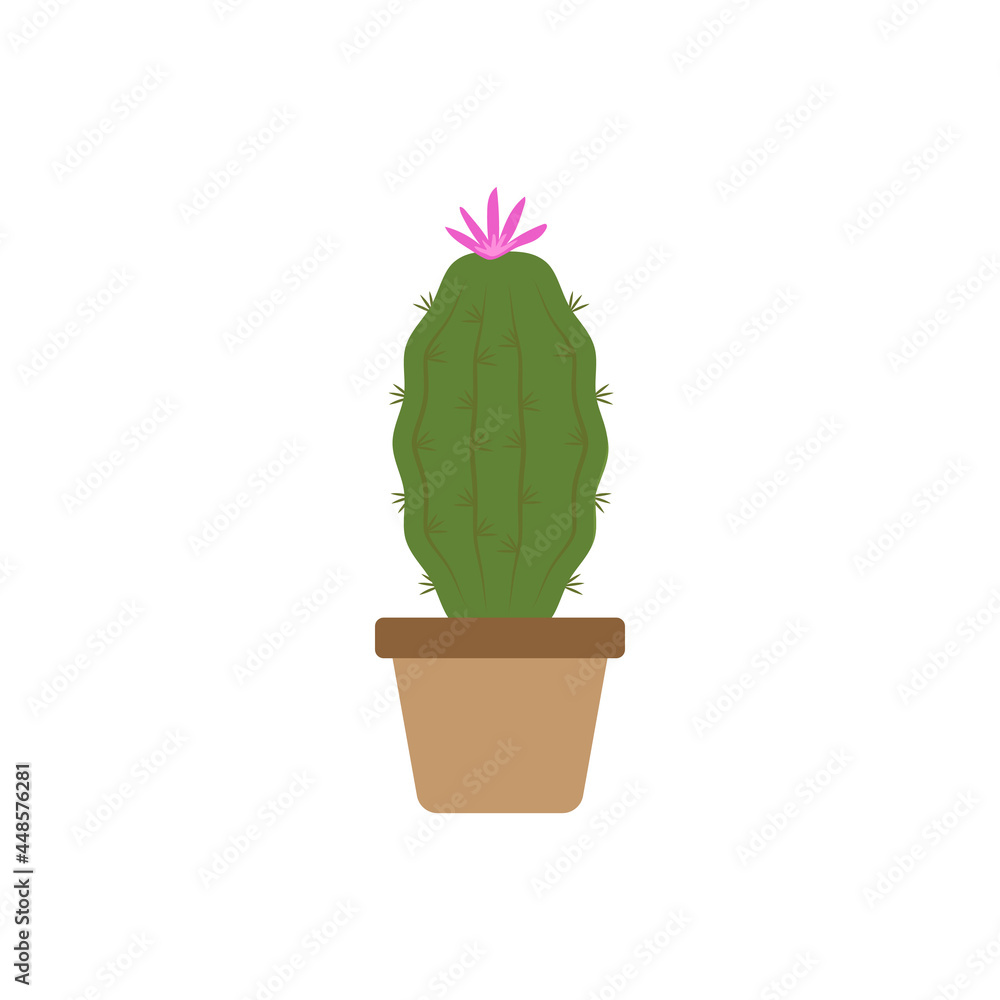 Cactus icon design template vector isolated Cactus icon design template vector isolated