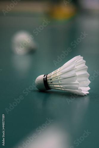 shuttlecock and badminton