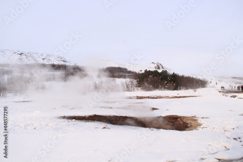 landscape with snow covered trees in iceland