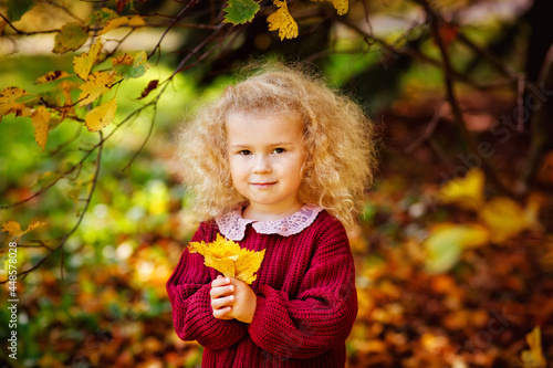 A little blonde curly-haired girl in a burgundy sweater in an autumn park with a bouquet of yellow leaves.