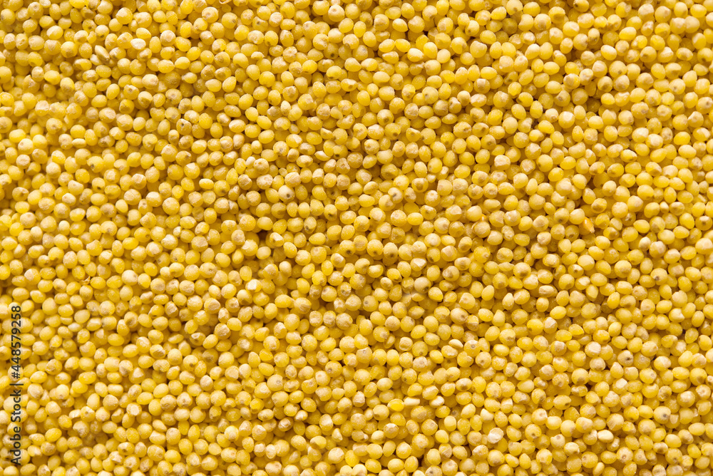 Yellow millet background. Top view 