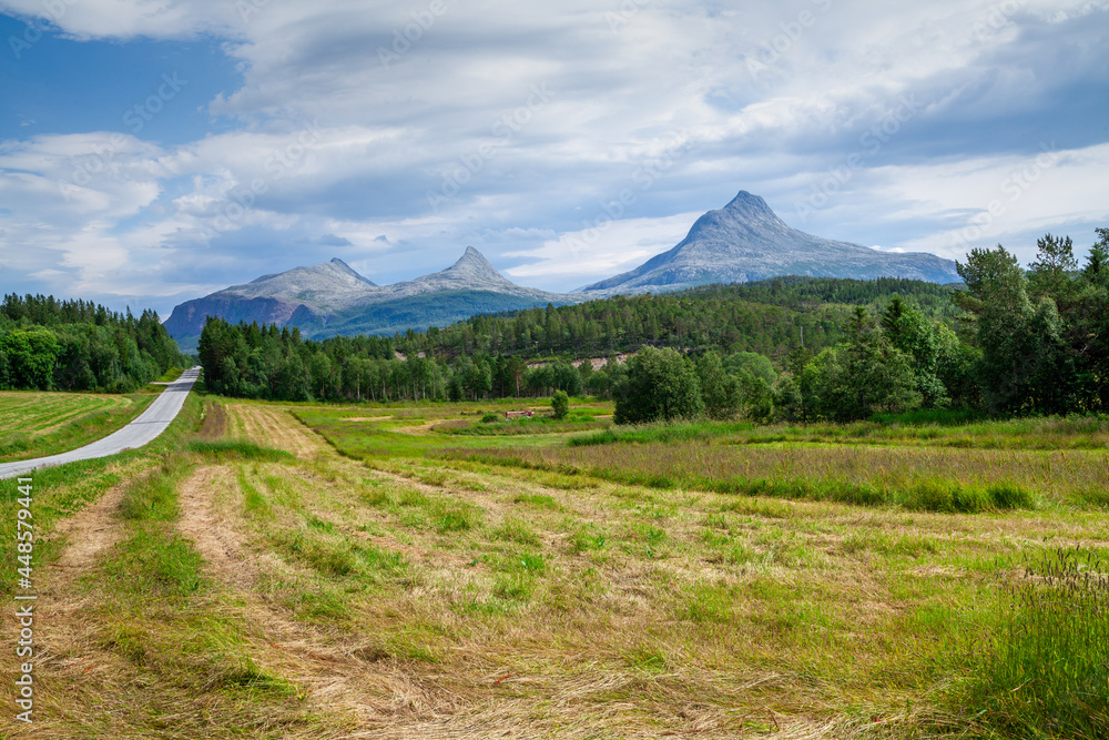 Fototapeta premium Summer view from below of Mount Heilhornet in Norway. High peaks rest on the blue sky. Green fields, forests and a road going to the horizon.