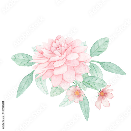 Fototapeta Naklejka Na Ścianę i Meble -  Ilustração de flor peônia rosa em aquarela