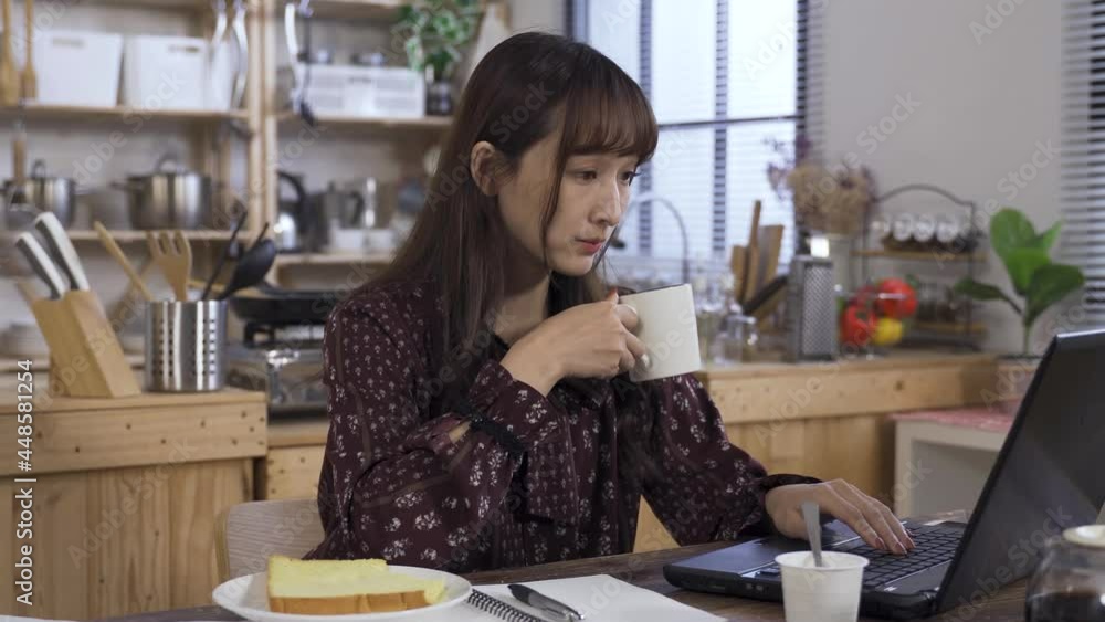 female employee is reviewing the briefing materials on the computer while having morning tea in her home dining room before going to work. female employee is reviewing the briefing materials on the computer while having morning tea in her home dining room before going to work.