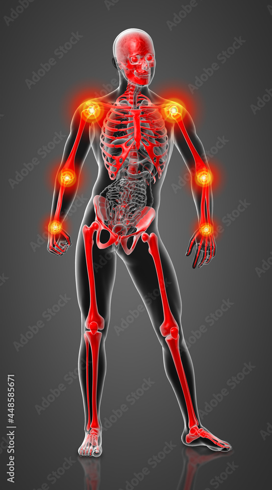 3d render skeleton by X-rays in red - front view 3d render skeleton by X-rays in red - front view