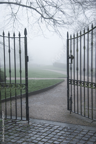 Iron gates to English park in the fog and mist, gloomy and broody mood, contemplate and melancholy, goth feel. © n_kudrik
