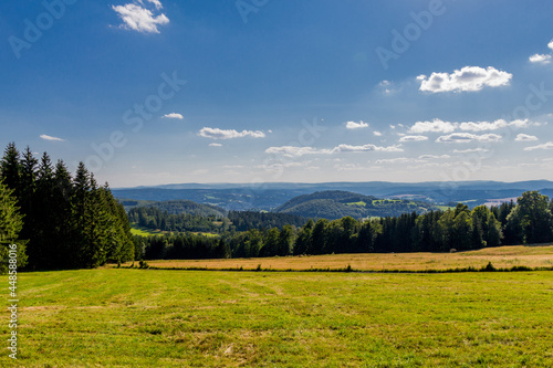Sommer Spaziergang durch den Thüringer Wald bei Struth-Helmershof  photo