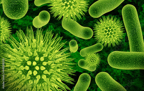 close up of 3d microscopic green bacteria photo