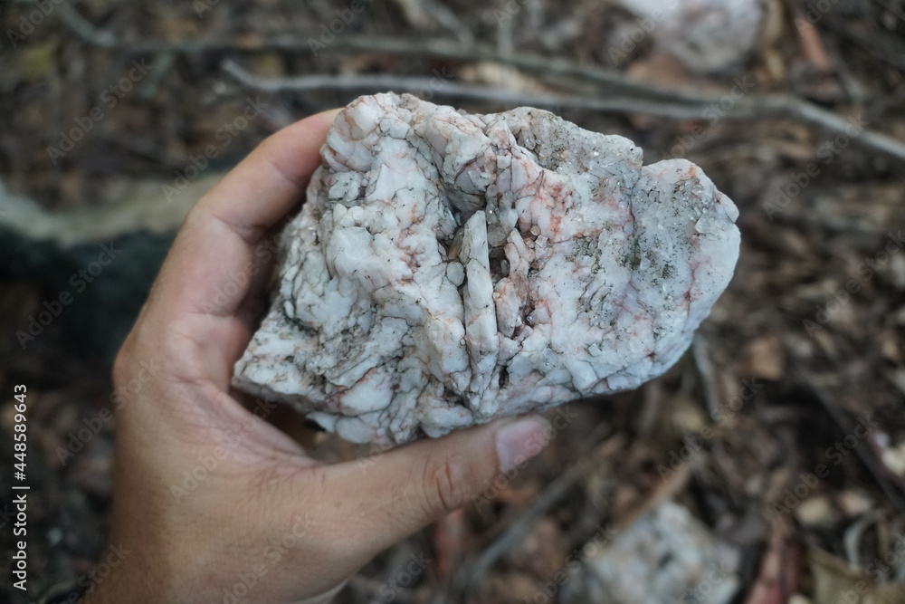 Hand holding a raw white quartz rock stone. Quartz grows in primarily in pegmatites.