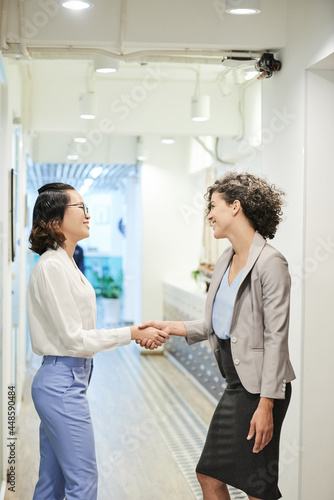 Smiling friendly female colleagues shaking hands and looking at each other
