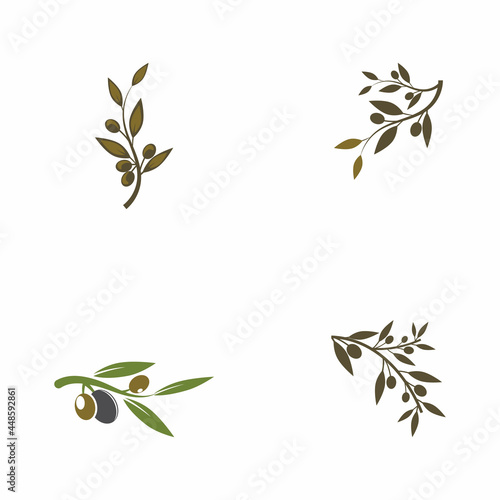 olive icon vector illustration design template