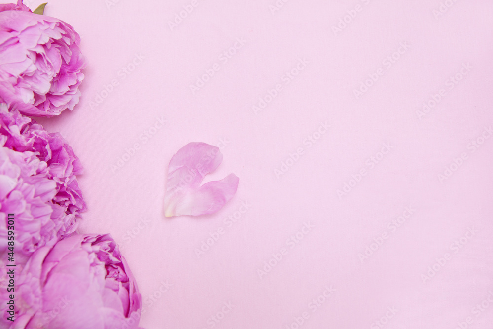 Fototapeta premium Pink peony flower on pink background. Heart shaped petal. Copy space for text. Top view. mothers day
