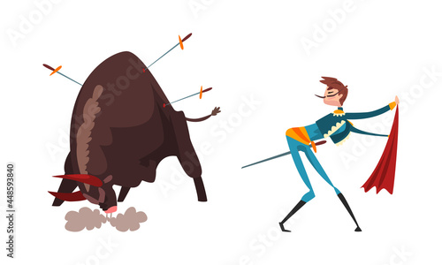 Bullfighter or Matador Waving Red Cloak and Bull Pierced with Swords Vector Set