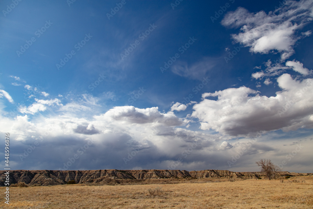 Theodore Roosevelt National Park landscape