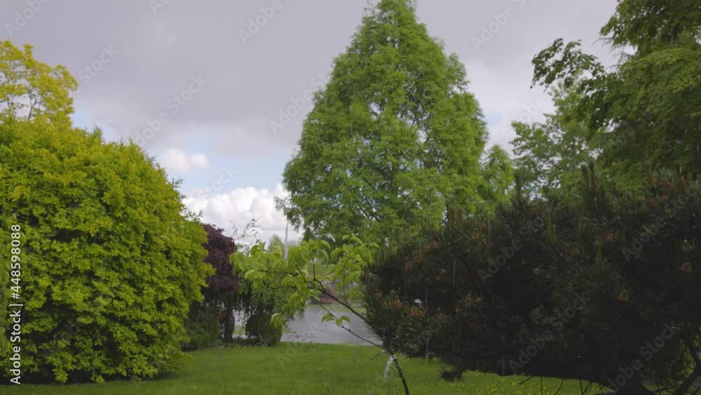 Heavy Rainfall and Hail during a stormy spring day in a Garden. Taken in Vancouver, British Columbia, Canada. Slow Motion Heavy Rainfall and Hail during a stormy spring day in a Garden. Taken in Vancouver, British Columbia, Canada. Slow Motion
