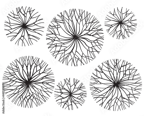 Round sketchy images of trees. A set of blanks for planning landscape design. Black and white vector graphics
