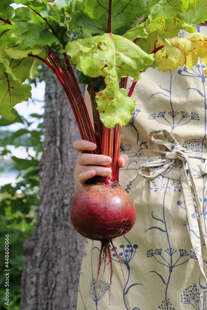 Foto de Eine junge Frau hält in der Hand die gewaschene, frisch ...