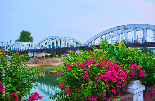 The white Ratsadaphisek Bridge behind the bougainvillea, Lampang, Thailand photo