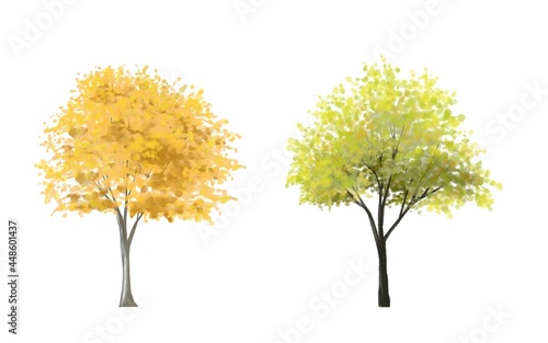 watercolor tree side view isolated on white background for landscape plan and architecture layout drawing, elements for environment and autumn garden
