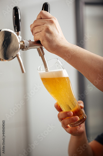 Murais de parede Bartender's hands pouring draught beer into a glass