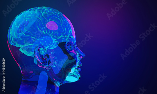 3d rendering illustration of human brain, healthcare of neuron cell, science and researching