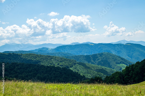 Mountain landscape. Green grass, blue mountains, flowers and needles. Montenegrin ridge in Ukraine in July. Hike in the Carpathian Mountains. © Oleksandr Kliuiko