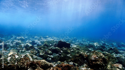 Underwater scenery and landscape in sunlight