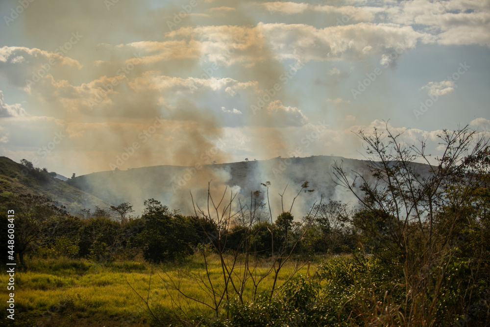 drought is a problem that is affecting the entire world, in Brazil it is no different. in the interior of Rio de Janeiro, vegetation and climate have changed a lot for some time now. everything is dry drought is a problem that is affecting the entire world, in Brazil it is no different. in the interior of Rio de Janeiro, vegetation and climate have changed a lot for some time now. everything is dry