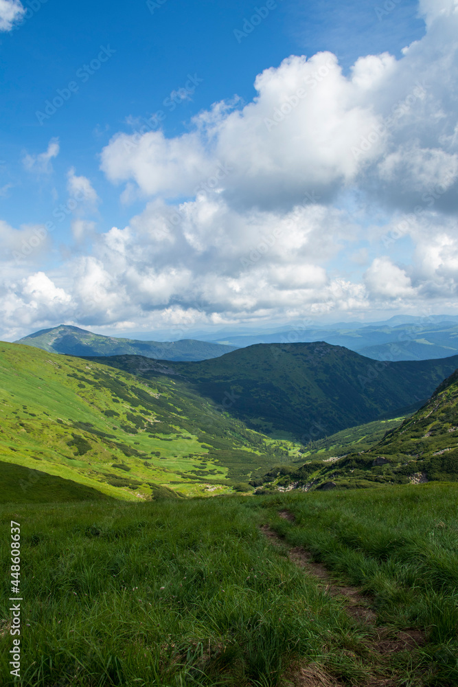 Mountain landscape. Green grass, blue mountains, flowers and needles. Montenegrin ridge in Ukraine in July. Hike in the Carpathian Mountains.