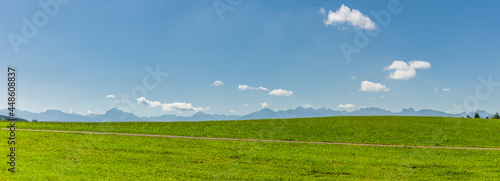 Alpenpanorama vor einer grünen Wiese im Allgäu