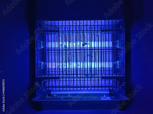 electric mosquito and insect zapper with blue lights turned on