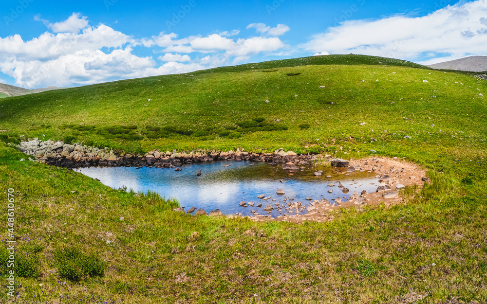 Fototapeta premium Green swampy plateau and a blue puddle against the background of distant hilly mountains. A panorama of a pure green landscape.