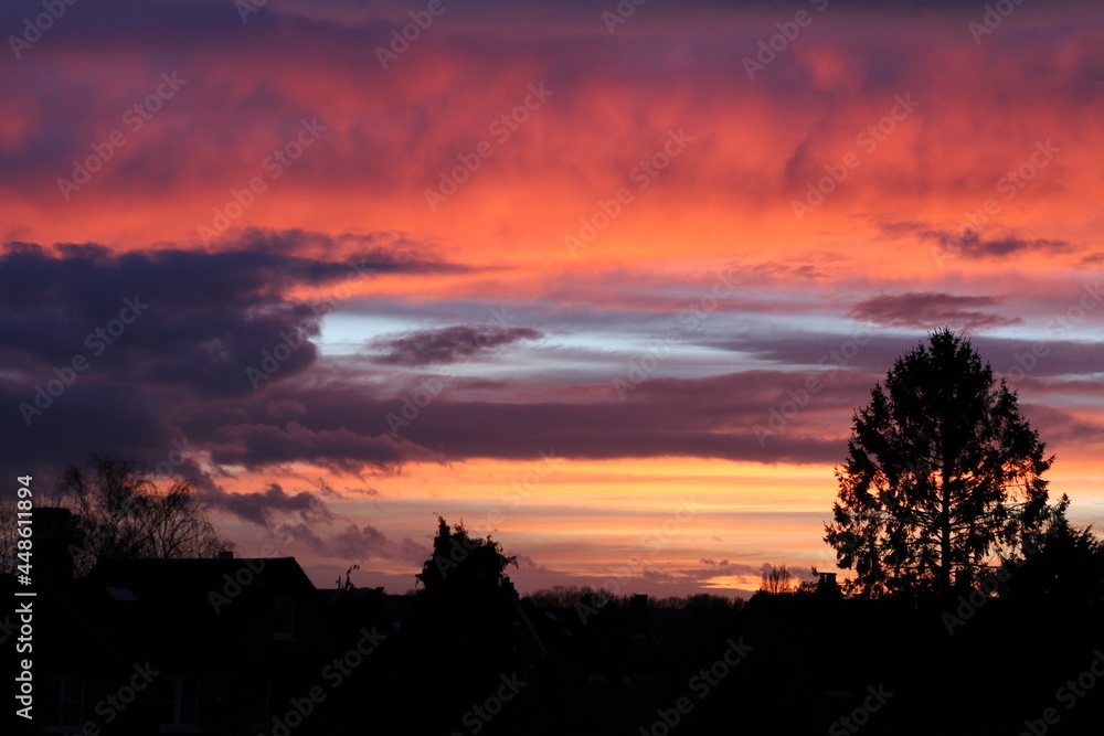 sunset over the city