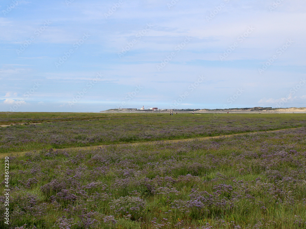 baie d'Authie / Fort Mahon baie d'Authie / Fort Mahon