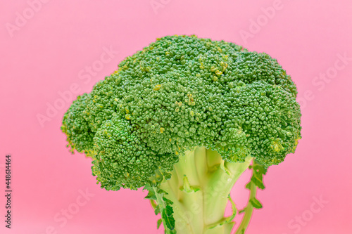 Fresh and Raw Broccoli Against the Pink Background. Uncooked Green Cabbage. Vegan and Vegetarian Culture. Raw Food. Healthy Eating and Vegetable Diet