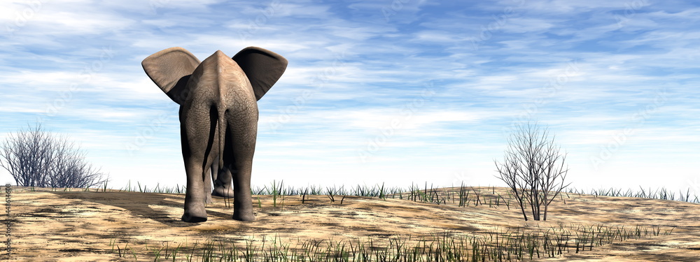 Fototapeta Elephant standing in the desert - 3D render