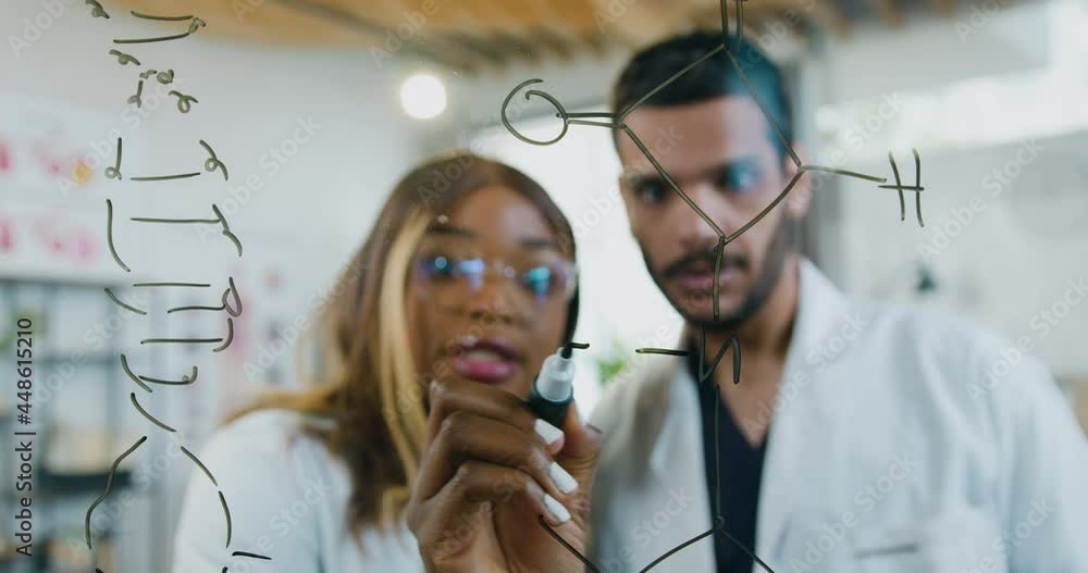 Close up of attractive high-skilled adult diverse two medical researchers of drugs from genetic diseases which standing near glass wall on which woman writing molecular formula of chemical elements Close up of attractive high-skilled adult diverse two medical researchers of drugs from genetic diseases which standing near glass wall on which woman writing molecular formula of chemical elements